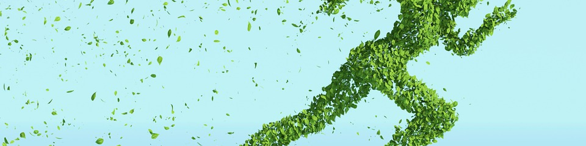 Making Change Through Collective Leadership