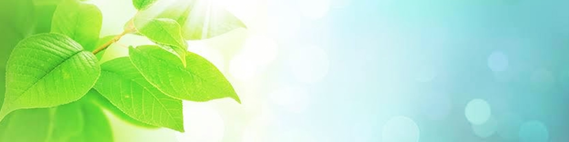 Striving For Making Meaningful Impact At Scale